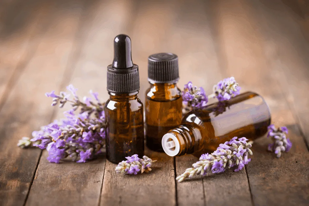 Lavanda ajuda a relaxar? Conheça 7 benefícios da planta para a saúde