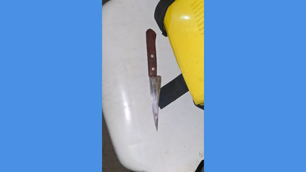 Homem é preso acusado de matar irmão a facadas durante briga no interior