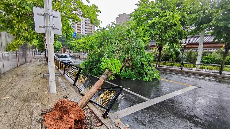 Typhoon Saudel hits Fujian, its third landfall in China