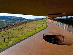 Im Wert von fünf Millionen Euro: 30.000 Flaschen Wein: Diebe räumen Lagerhalle leer