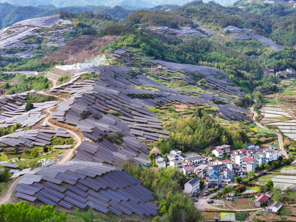 La lección China: la complicada solución para el conflicto entre las plantas solares y las aves