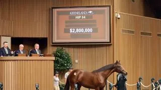 Más de $15 millones: Hijos de Gun Runner fueron la vedette de la primera jornada