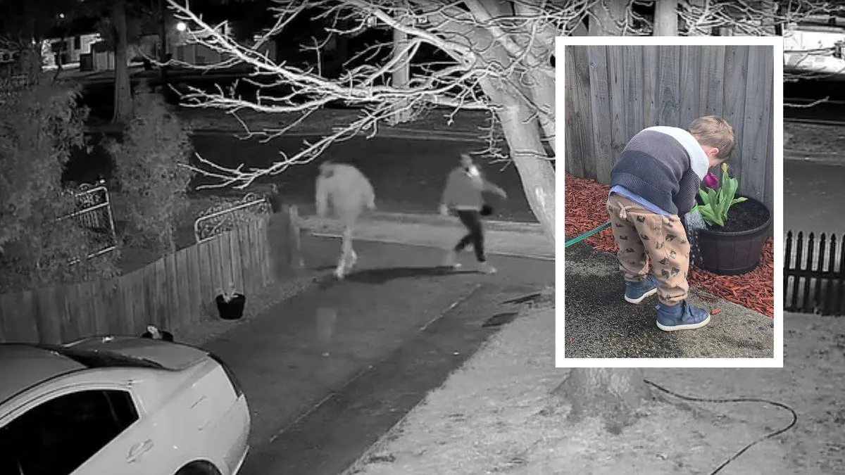 ‘They didn’t even ask’: CCTV catches man brazenly stealing three-year-old boy’s beloved flower pot from yard