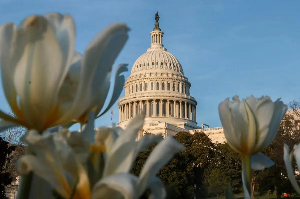 Servicio de investigación del Congreso de EEUU publicó informe sobre la transición en Venezuela