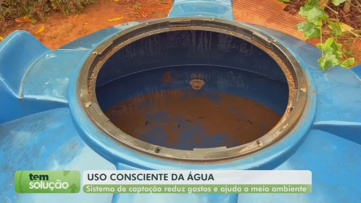 Tem Solução: Cisternas ajudam a economizar água e galhos de árvores viram adubo orgânico no interior de SP
