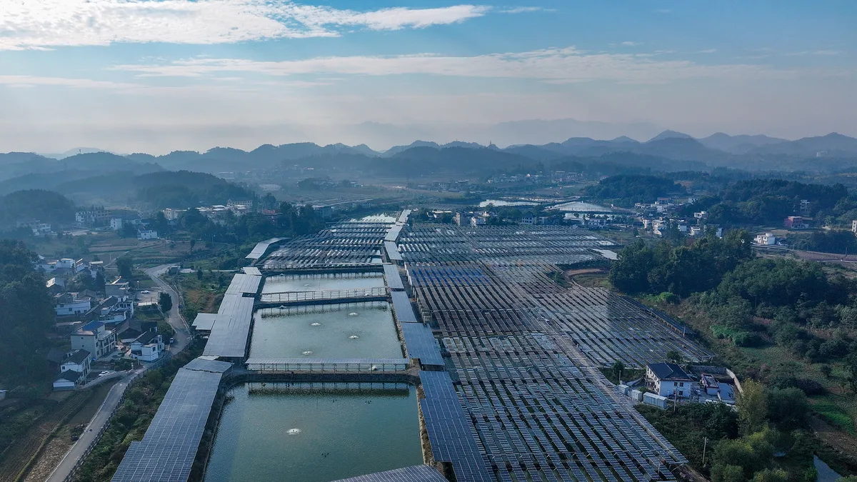 China mulls export curbs on AI, biomedicine and solar tech