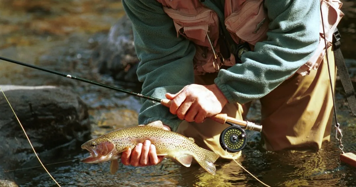 Pesca en Córdoba: qué truchas y dorados se pueden capturar desde octubre y cuáles son las reglas