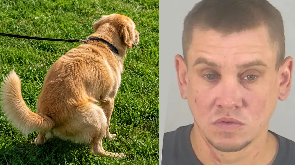 Florida man arrested after throwing dog poop at neighbour over uncleared mess