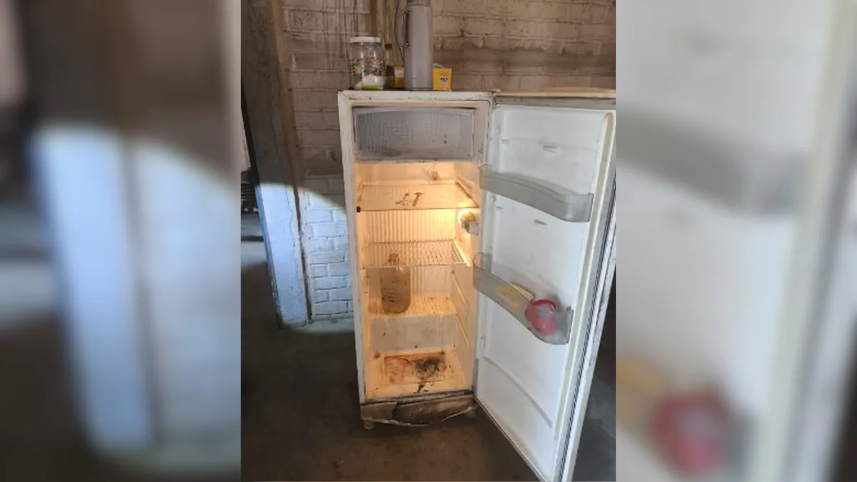 Empregador é condenado a pagar R$ 100 mil em danos morais após resgate de trabalhadores que dividiam comida com animais