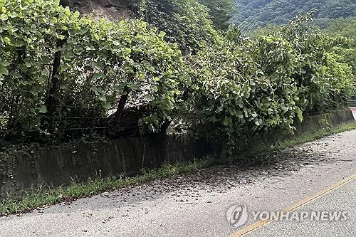 담양서 낙석으로 도로 전면 통제…복구까지 1주일 이상