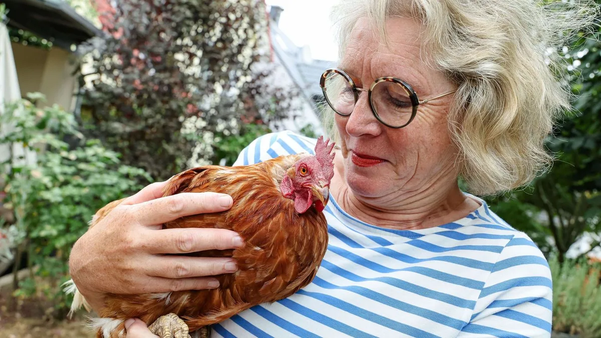 Tierwohl statt Quälerei: Nach Knochenjob im Stall: Zuflucht im Garten für Legehennen