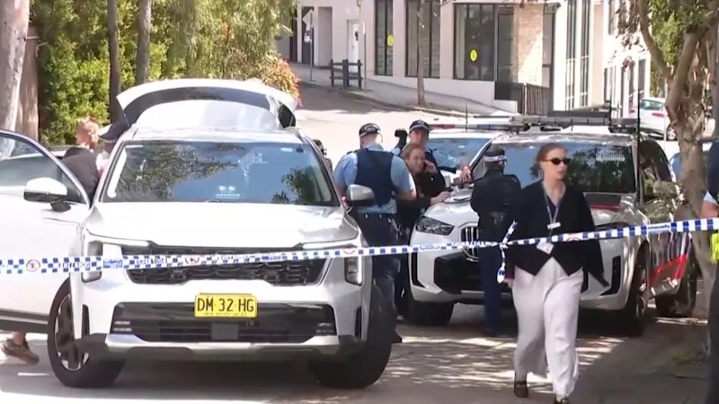 Baby monitor video captures terrifying Sydney gun scare