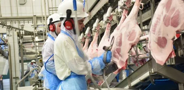 Abate de bovinos e suínos cresce, mas o de frangos recua no 2º trimestre