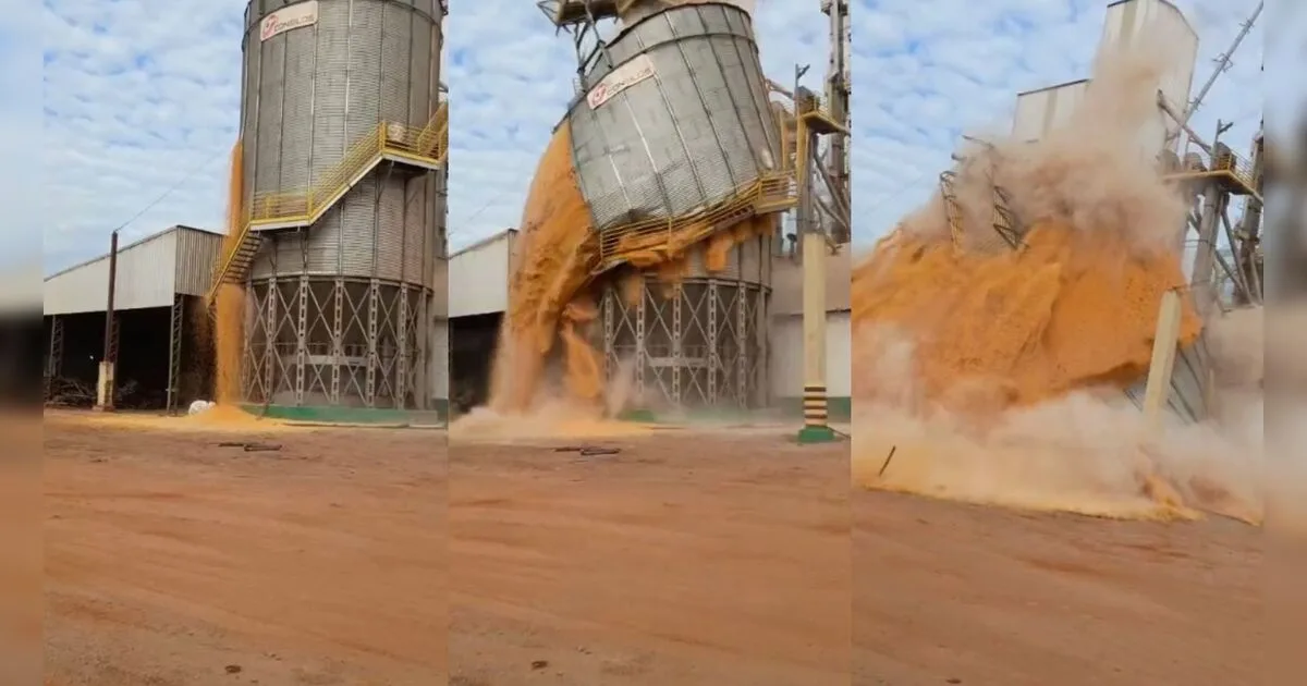 Silo com milho armazenado racha e desaba no norte do Paraná; assista ao vídeo