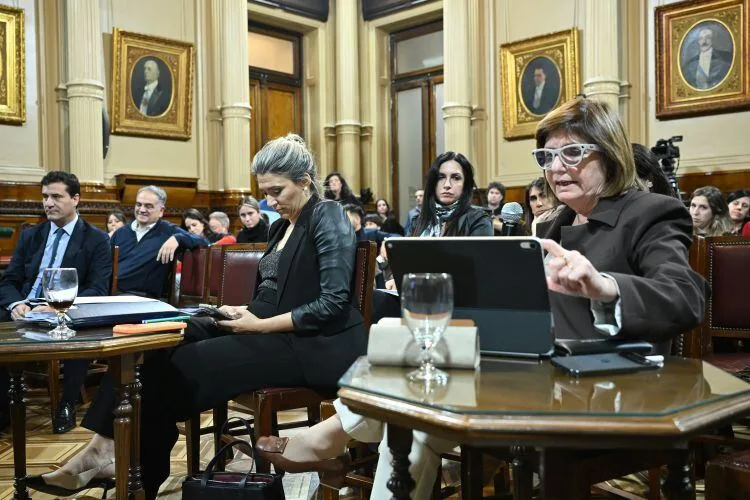Reforma política: el Gobierno en el Senado incorporará Ficha Limpia y PASO optativas al debate