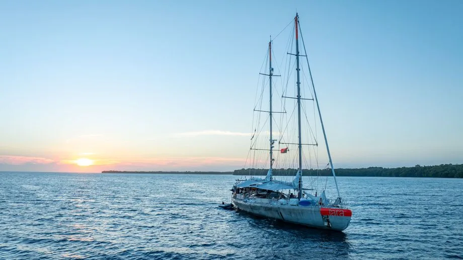 L'équipage de la goélette scientifique Tara victime d'une attaque de pirates en Papouasie-Nouvelle-Guinée