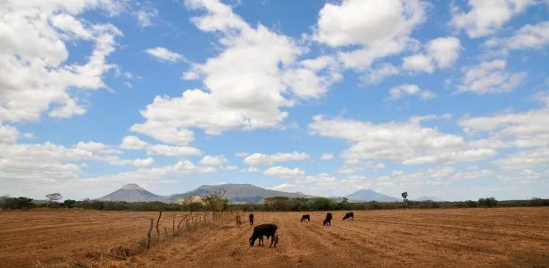 Super El Niño se aproxima: quais áreas devem ser mais impactadas na América
