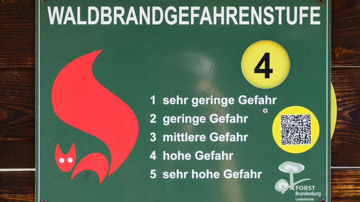 Nur leichte Entspannung: Waldbrandgefahr bleibt in Brandenburg stellenweise hoch
