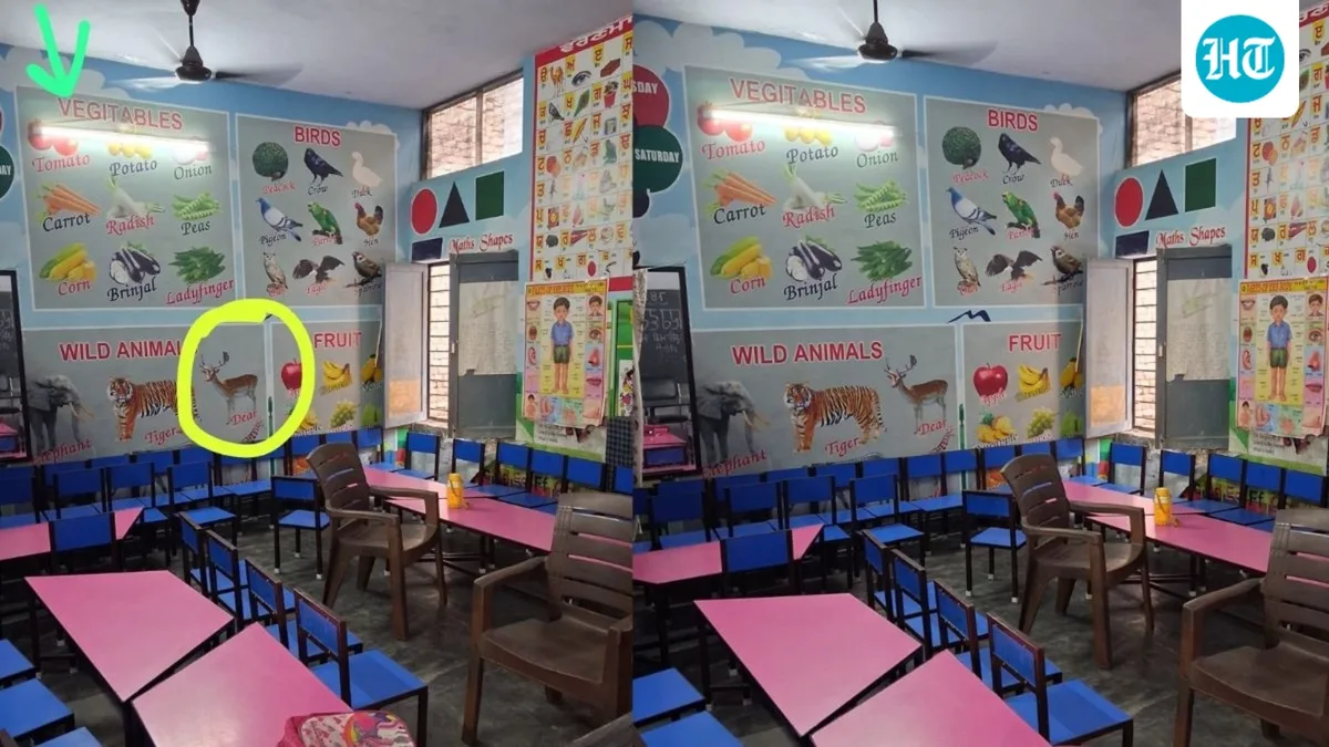 ‘Vegitables’ and ‘dear’: SAD mocks AAP over spelling errors in Punjab classroom