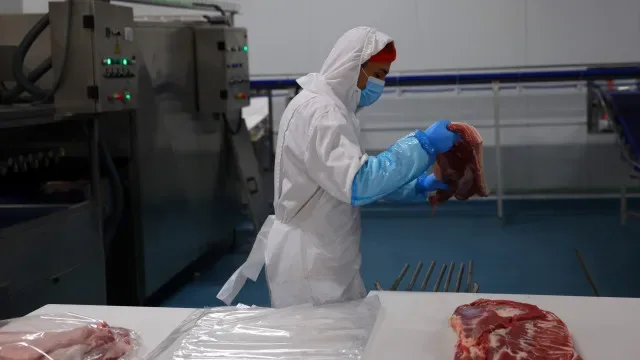 Quase 1/3 dos portugueses consome peixe e carne processada semanalmente