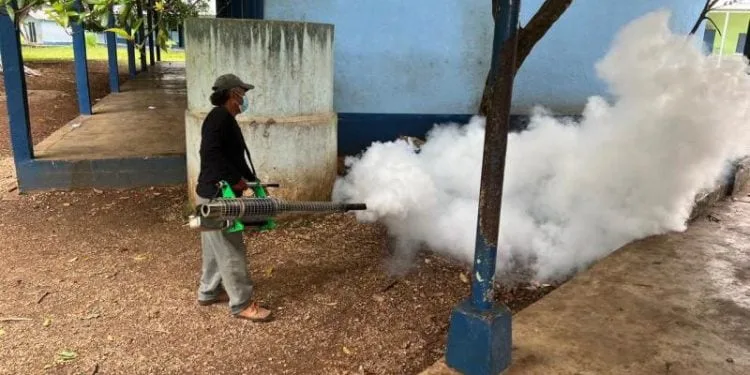 El Ministerio de Salud de Guatemala reporta una caída del 43 % en los casos de dengue