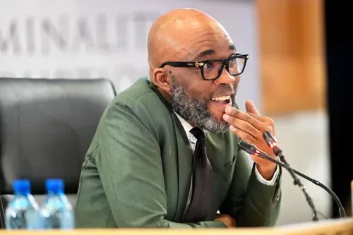 ‘I hate Brown Mogotsi’: Cat Matlala unloads on alleged political fixer at Madlanga Commission