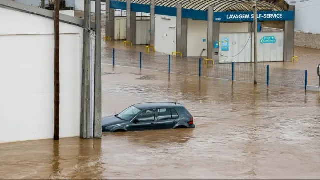 Tempestades: Região de Leiria pede apoio de 100% para recuperar danos