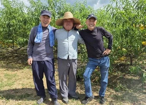 '예순 넘어 땅끝서 꿈꾸는 제2의 인생'…고교 동창 3인 화제