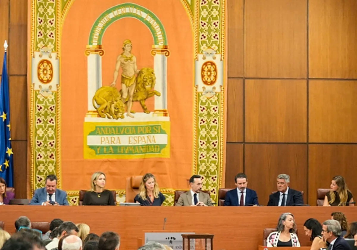 Las diputadas de extrema izquierda no quieren la última fila del Parlamento andaluz