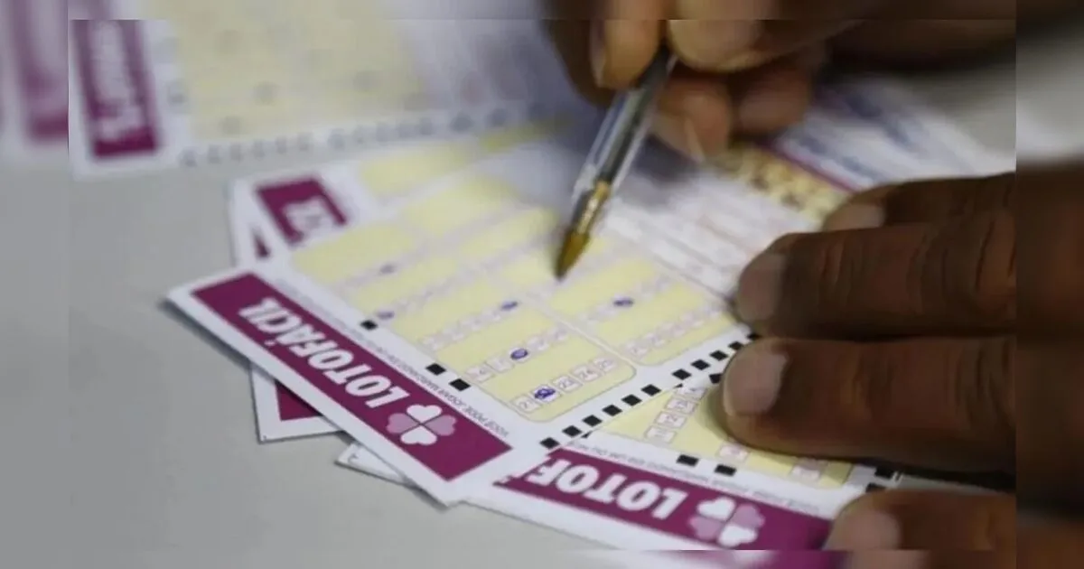 Veja o resultado da Lotofácil concurso 3784 deste domingo (20)