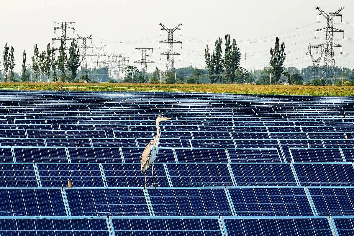 Transição energética na Europa pode poupar 34 mil vidas e 826 mil milhões por ano