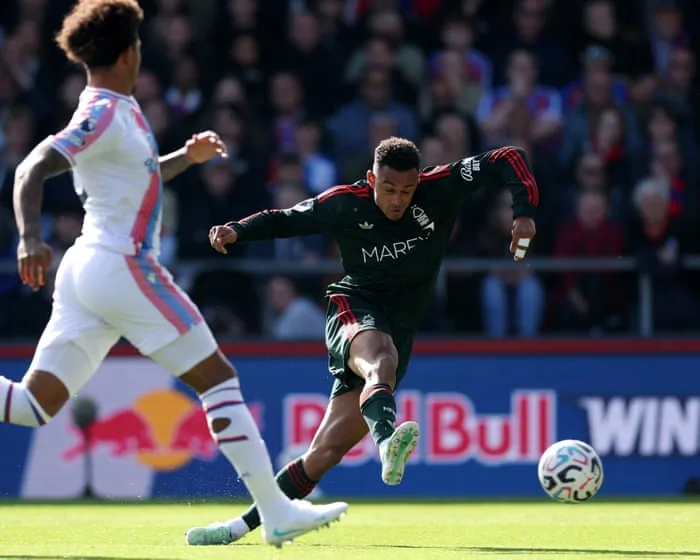 Southampton v Portsmouth, Crystal Palace v Nottingham Forest, Hull v Everton: football – live