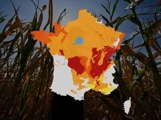 CARTE. Les deux tiers des nappes phréatiques enregistrent un niveau en dessous de ses normales saisonnières