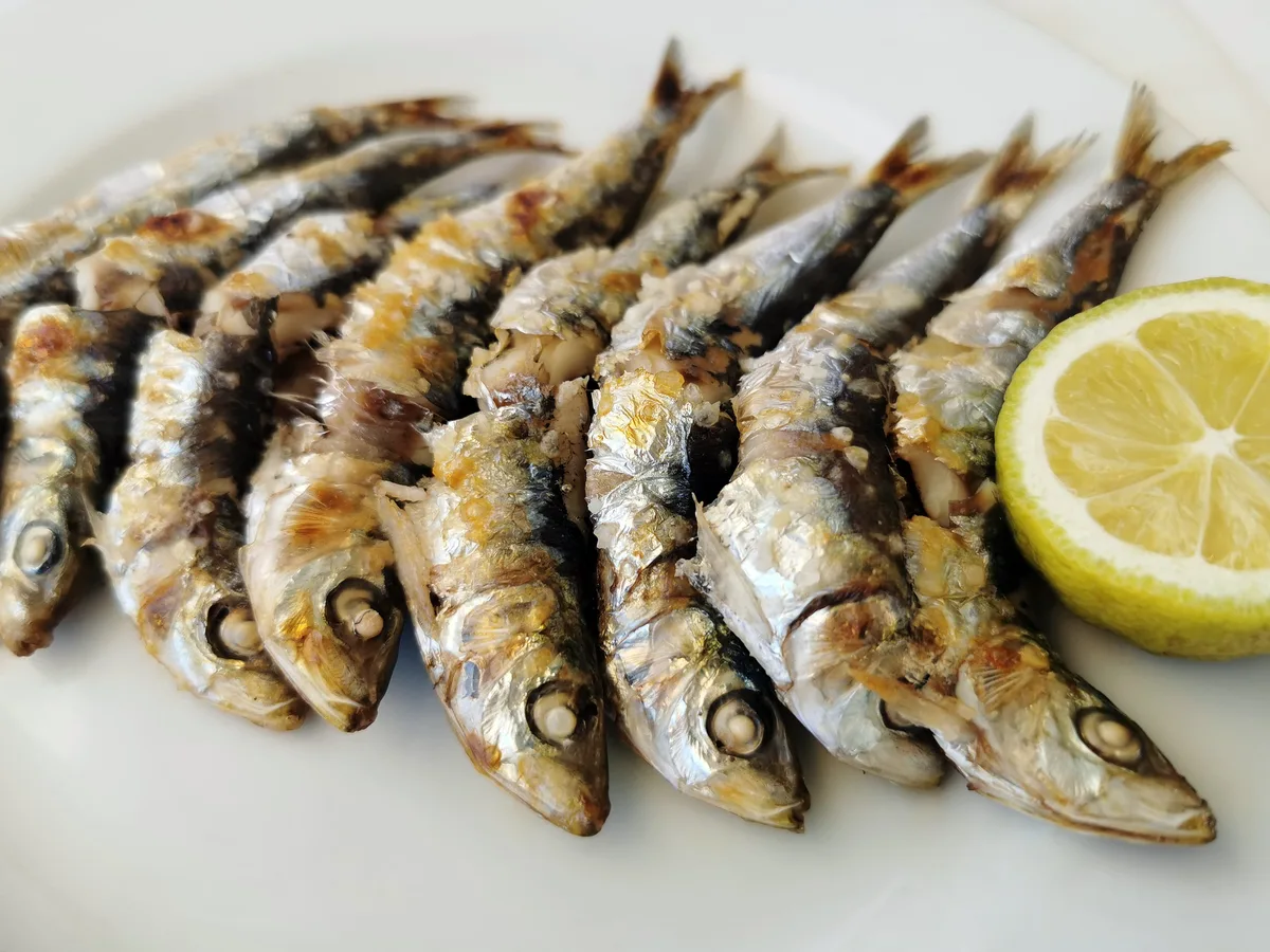 Químicos, pesticidas, drogas o productos farmacéuticos: varios peces comestibles del Mediterráneo contienen un “cóctel” de contaminantes