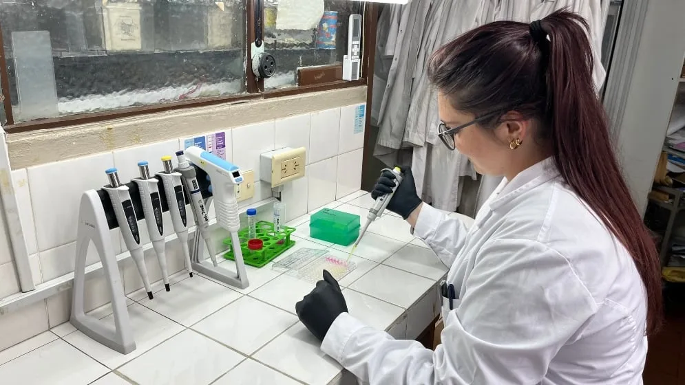 Radiografía del CONICET en tiempos de Milei: recorte de fondos, reducción de becarios y menos investigaciones