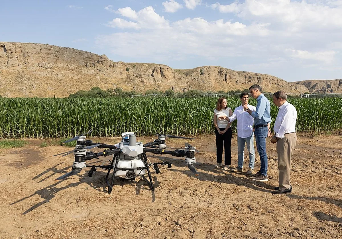 El gran misterio de las 17.000 fincas que Sánchez prometió poner a disposición de jóvenes agricultores