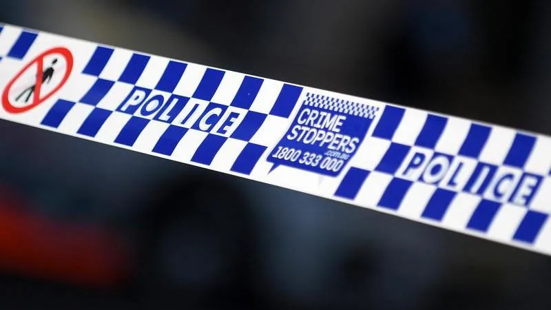 NSW mother who stabbed sons, 9 and 11, to death deemed not criminally responsible