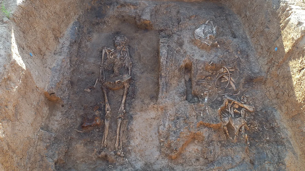 Archaeologists unearth a medieval nobleman buried with his horse and dog in a rare wooden tomb in Russia