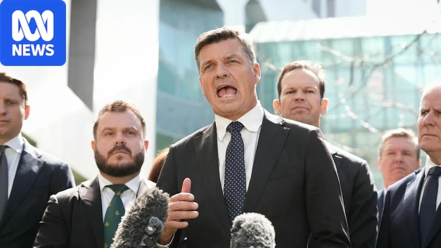 Coalition vows to cut $15 off tank of petrol when global prices spike