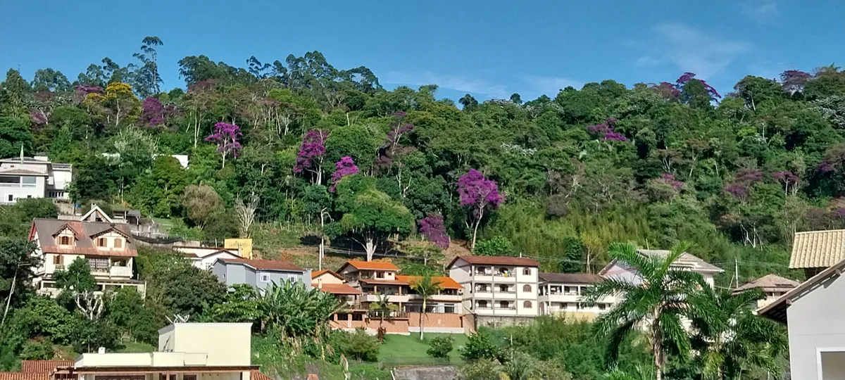 57% dos brasileiros vivem em apenas 15% do território, calcula novo estudo