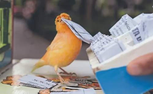 Pajaritos de la suerte, trabajo folclórico