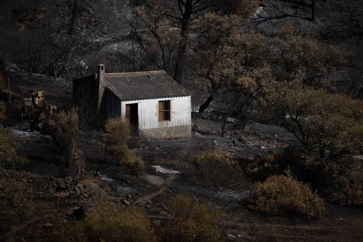 Berrocal pedirá la declaración de zona catastrófica tras el incendio: "El verdadero drama empieza ahora"