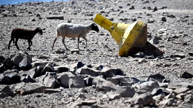 Genug Rhein für neue Seen?: Mit dem Rhein Tagebaue fluten - NABU hält Pläne für überholt
