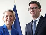 The euro's in freefall. France is going bust - fast. What a time for Andy Burnham to plot to rejoin the EU: ALEX BRUMMER