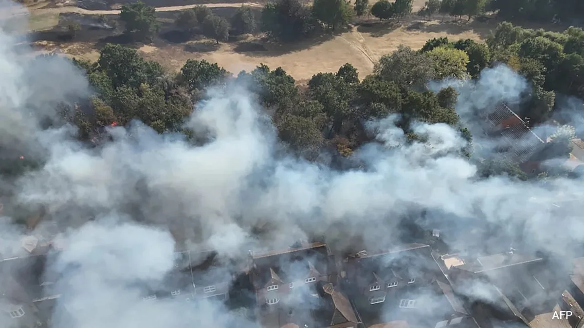 Explained: El Nino's Role in Europe's Extreme Summer Heat and Wildfires