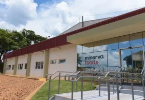 Minerva (BEEF3) cai 7% após 2T com pressão sobre caixa e sinais de demanda mais fraca