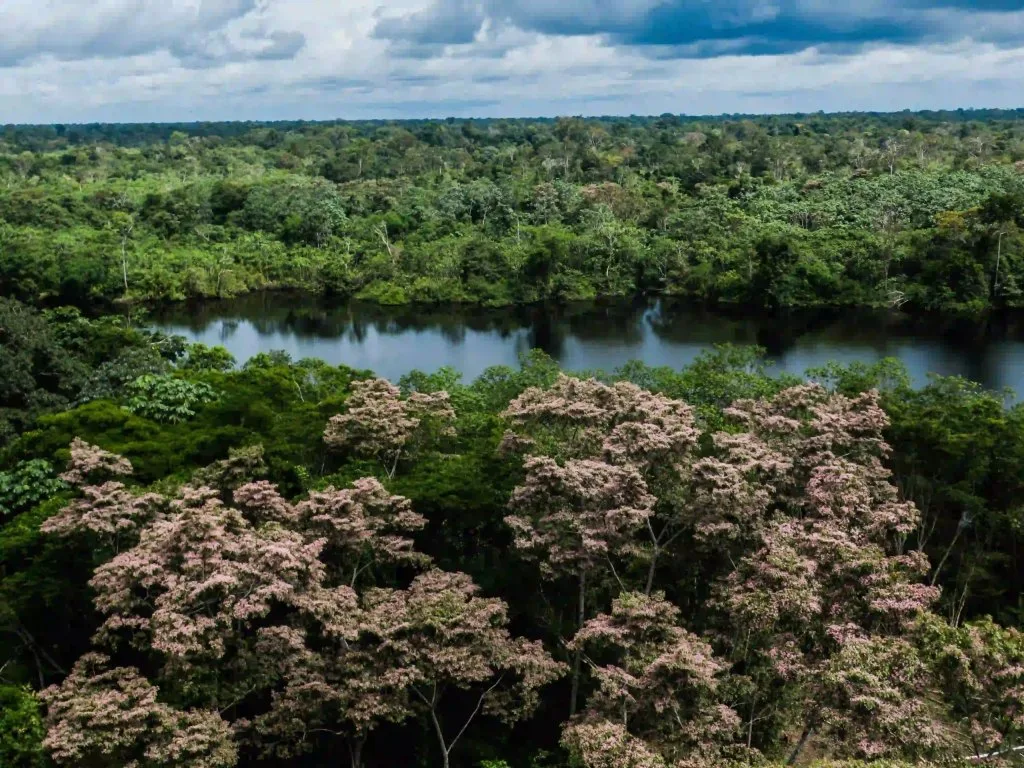 «Sobrepasamiento, pico y descenso»: La posición de la UE para la Cumbre del Clima COP31
