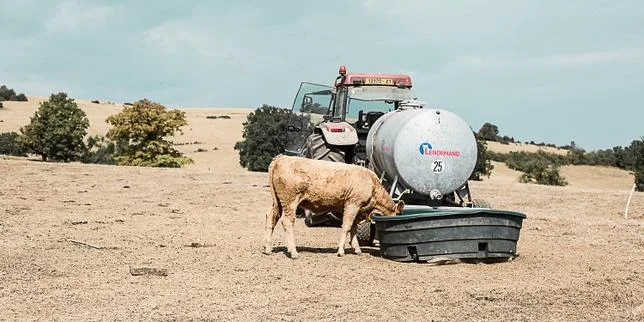 Loi d’urgence agricole : le Conseil constitutionnel valide la quasi-totalité du texte, y compris les volets controversés sur la réintroduction dérogatoire de pesticides interdits
