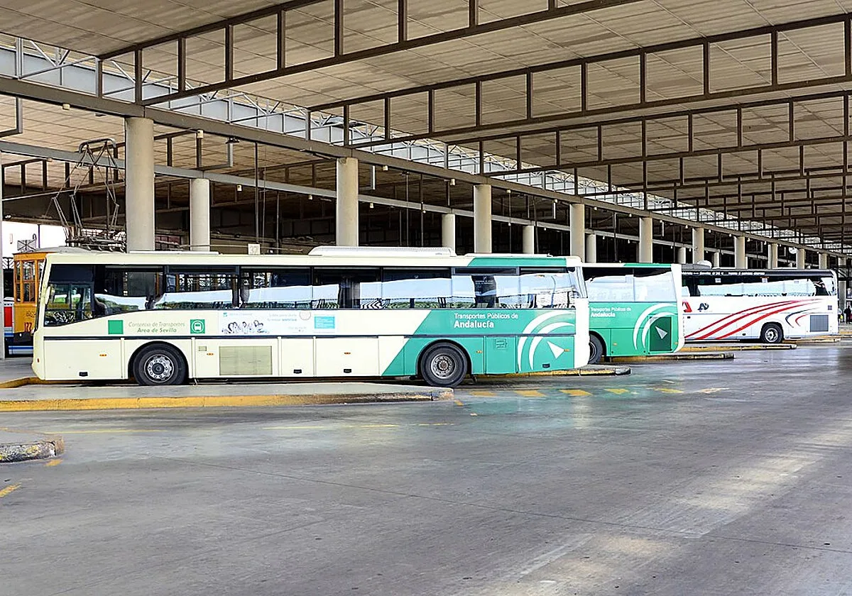 Autobuses desde Sevilla para ver la Venida de la Virgen del Rocío: horarios, paradas y cómo llegar