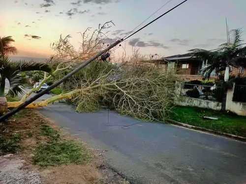 Strong winds leave 15 eThekwini areas without electricity